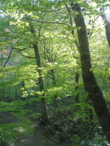 image-up3.jpg